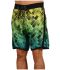 Бордшорти Fox Aviator boardshort Бордшорти Fox Aviator boardshort