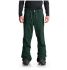 Snowboard pants DC Relay pine grove Snowboard pants DC Relay pine grove