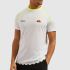 Спортивная футболка Ellesse Q1SPTEN20 Balrino t-shirt white Спортивная футболка Ellesse Q1SPTEN20 Balrino t-shirt white