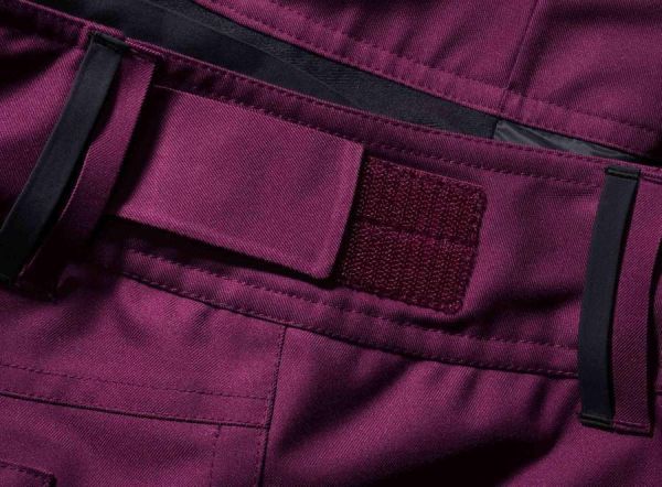 Snowboard pants Holden W's Standard pant sangria