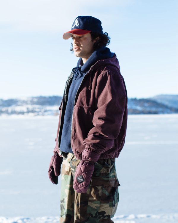 Сноубордические варежки Howl Jed 23 purple