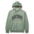 Hoodie HUF FA22 Destroy rebuild faded basil
