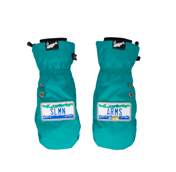 Salmon Arms License plate mittens Salmon Arms License plate mittens
